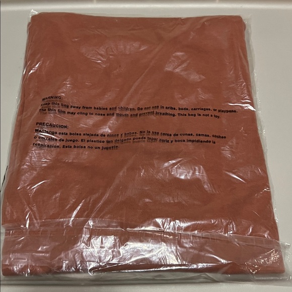 Champion 5X Large Script Logo Tee - Rust with Cream Logo - Picture 2 of 3